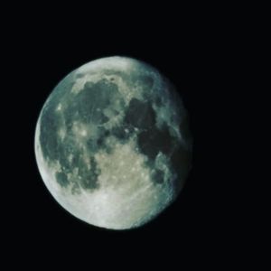 Meet your Posher, Stan